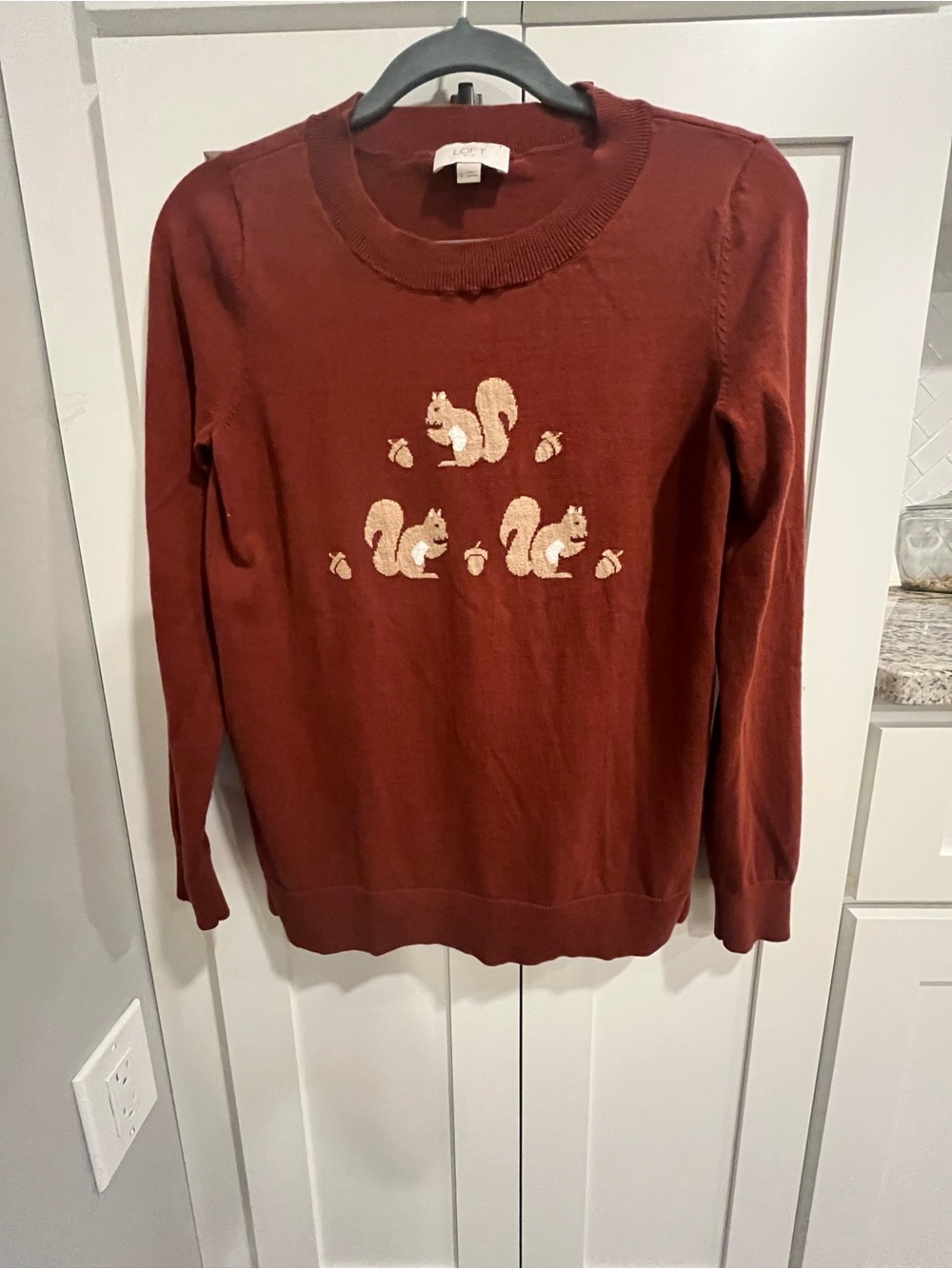 🐿️ Never worn- LOFT Rust Crewneck Sweater with Squirrel Embroidery